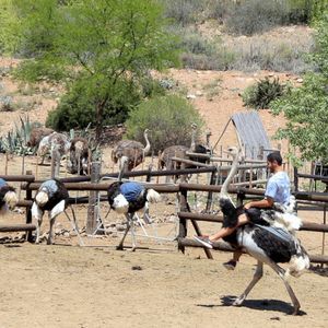 Meet your Posher, John paul